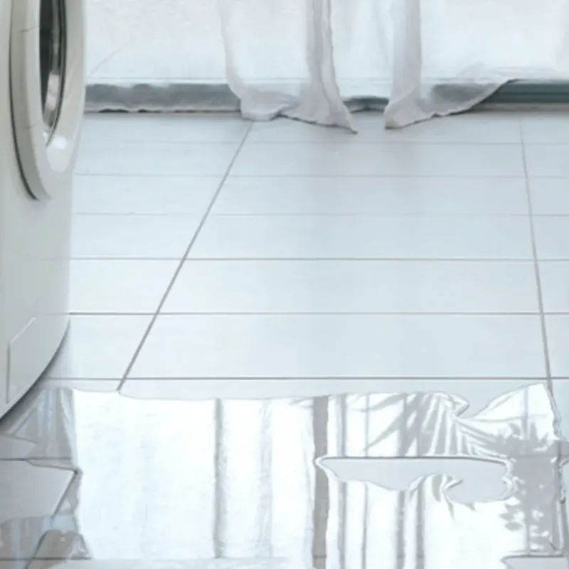 Appliance Leak Cleanup in Sherwood, WI