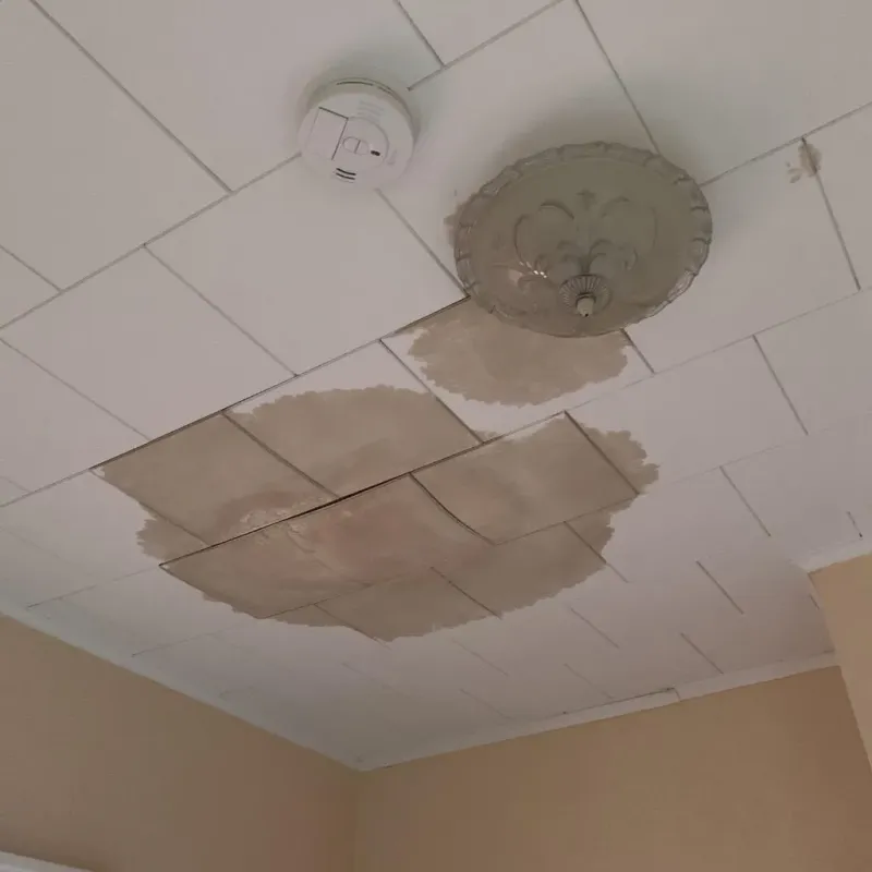 Ceiling Water Damage Repair in Sherwood, WI