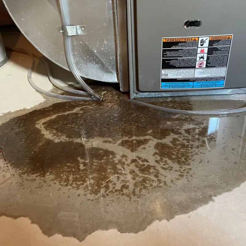 Pipe Burst and Leak Restoration in Sherwood, WI