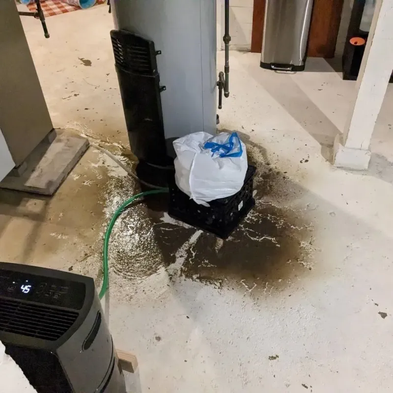 Sewage Backup Cleanup Service in Sherwood, WI